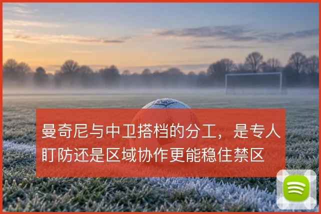 曼奇尼与中卫搭档的分工，是专人盯防还是区域协作更能稳住禁区